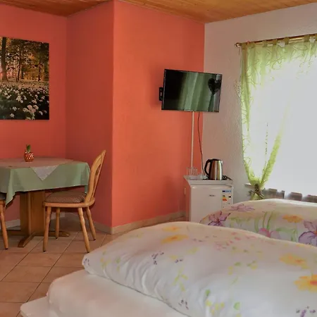Gaestehaus Willaringen Rickenbach  Room photo