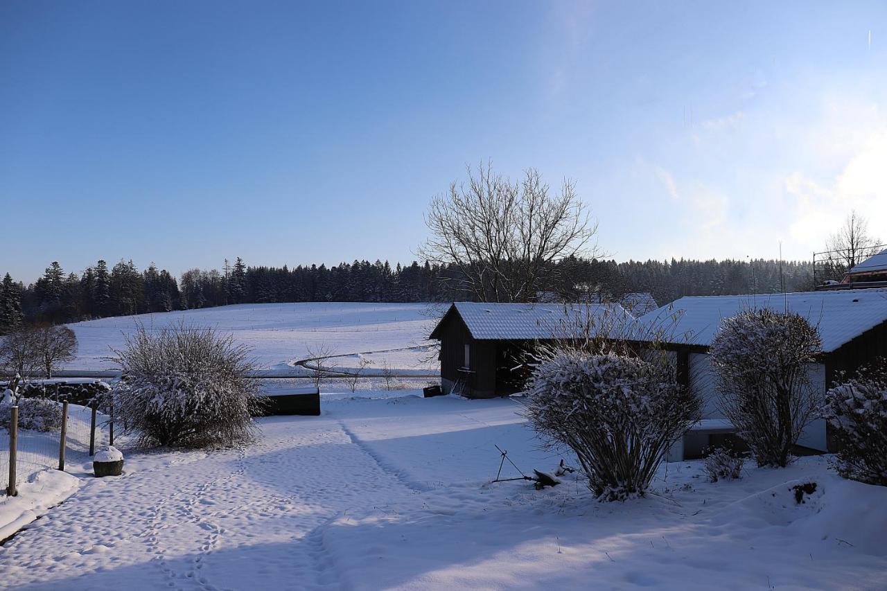 Gaestehaus Willaringen