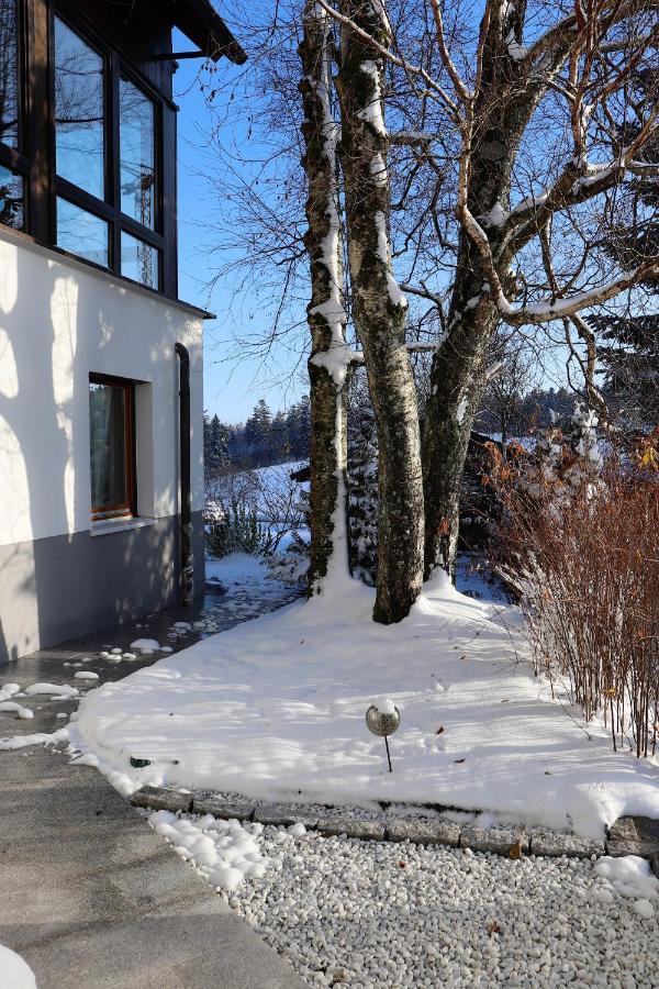 Apartment Gaestehaus Willaringen Rickenbach (Baden-Wurttemberg)