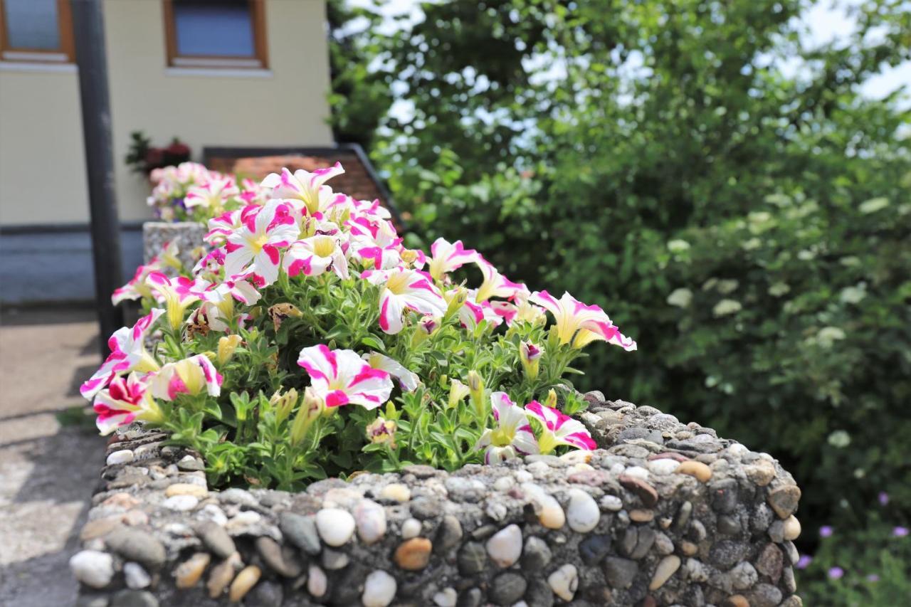 Gaestehaus Willaringen Apartment *