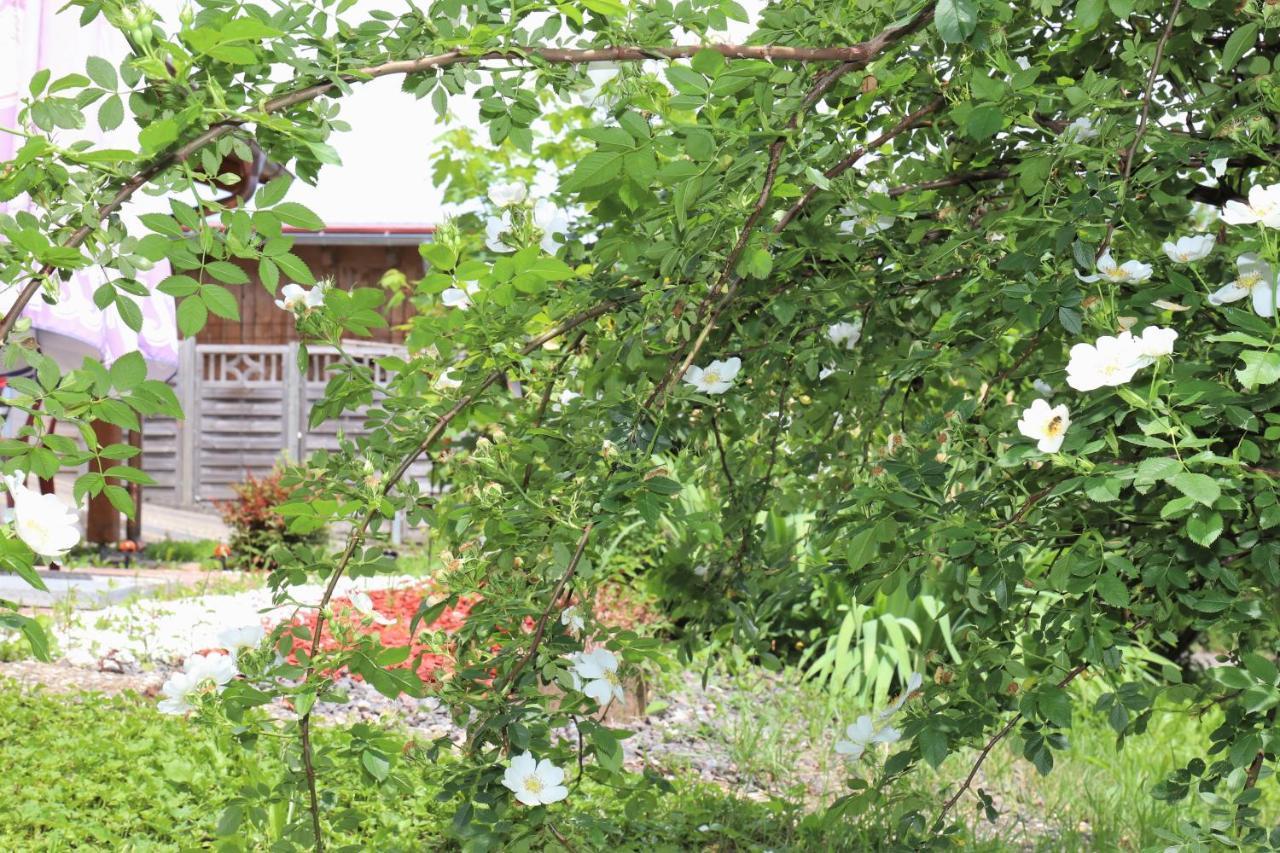 Apartment Gaestehaus Willaringen *